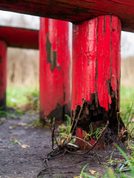 Rotten Column Replacement in Davis